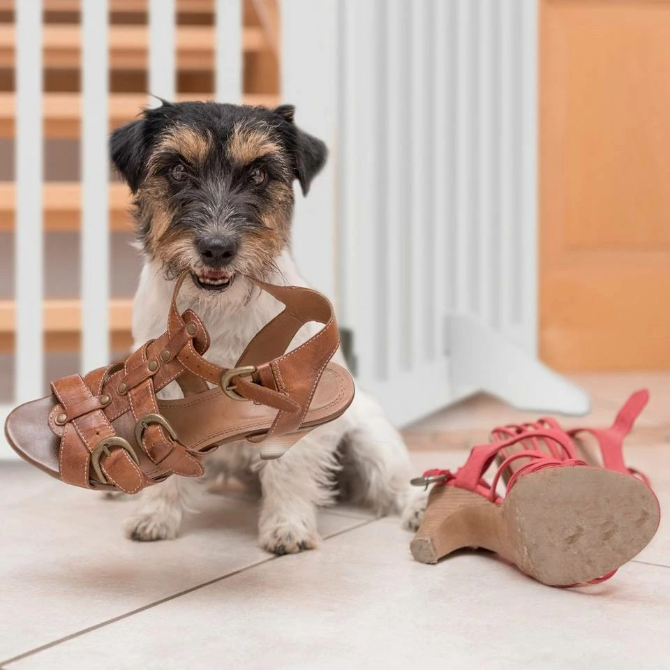 relaxdays Universalschutzgitter »Absperrgitter 70 cm«, 3 Panel – Bild 6