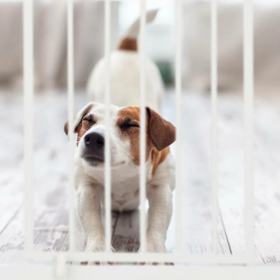 relaxdays Treppenschutzgitter »Schutzgitter Verlängerung«, M – Bild 3